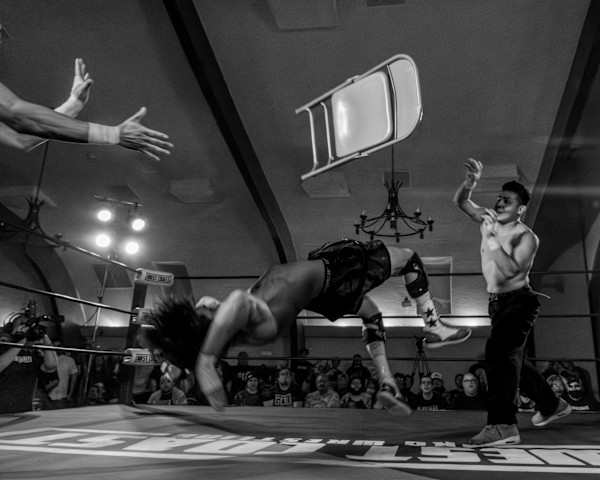 Duck by Bradley Fowl