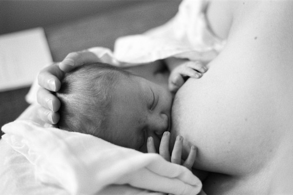 Day One by David Hayden