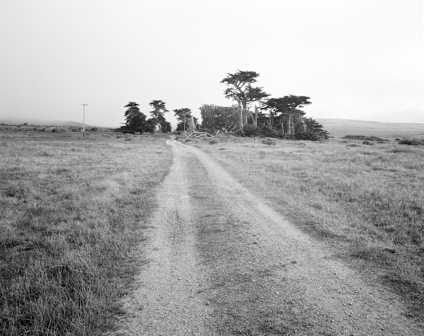 Point Reyes National Seashore, CA by Justin Wilson