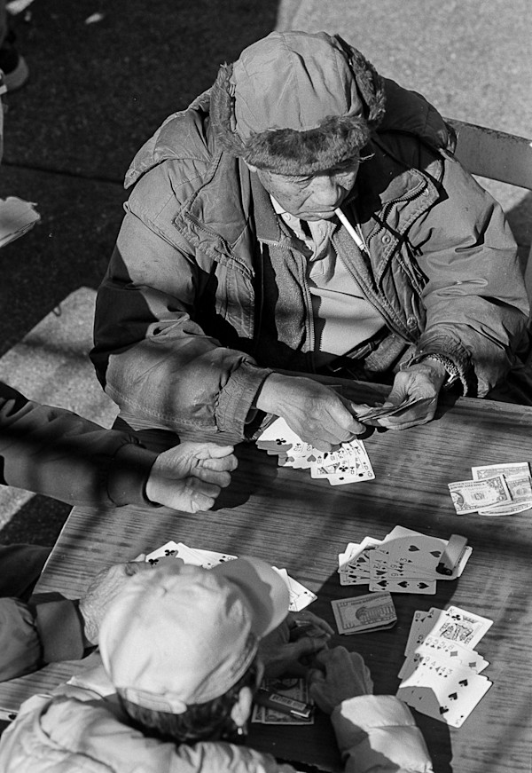 An Afternoon of Cards by Steve Baum