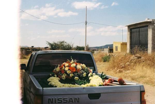 El Periplo (Voyage) by Viridiana