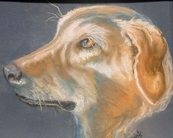 Isabel by Deb Braughler