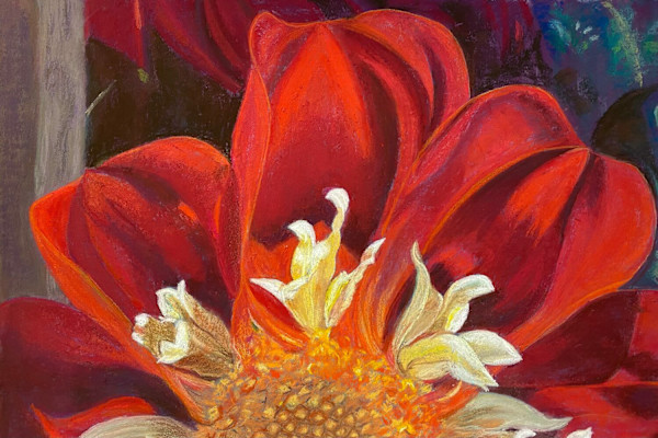 Dahlia by Susan Cassidy