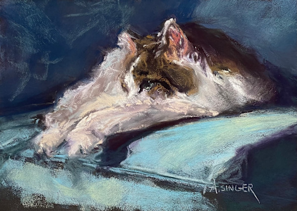 Cat Nap by Anne F Singer