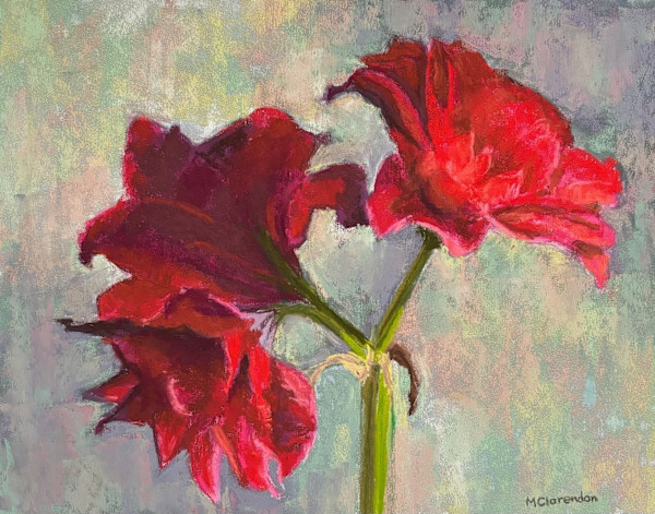 Amaryllis by Mary Ann Clarendon, Image 1.