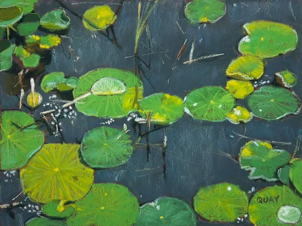 Lily Pads by Heather Quay