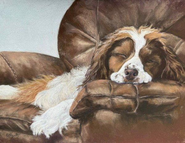 The Nap by Charlotte Yarrington-Ball