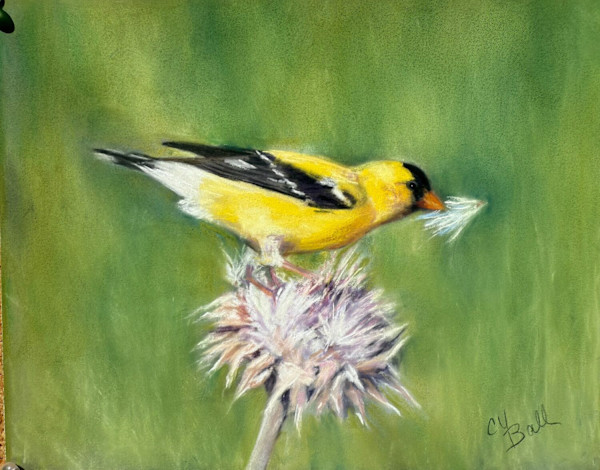 Thistle Thief by Charlotte Yarrington-Ball