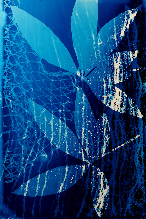 Looking Glass 4 by Sri Thumati
