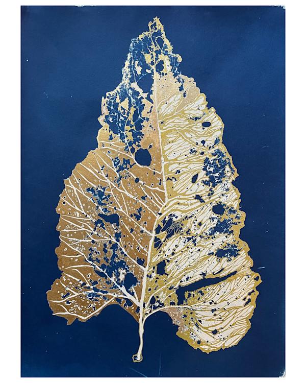 Nervous System- A study by Sri Thumati