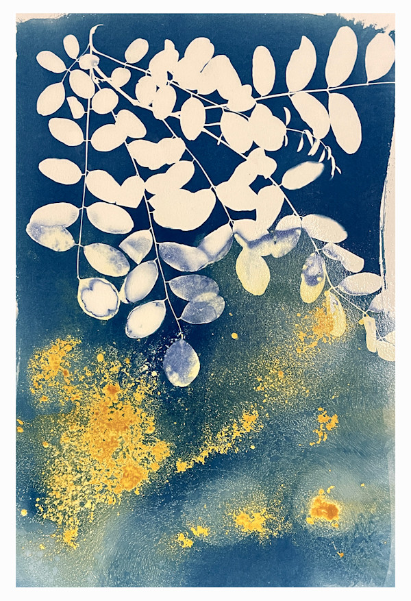Summer Glow by Sri Thumati