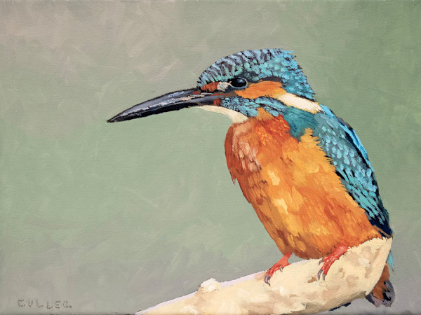 "Kingfisher" by Krissy Culler