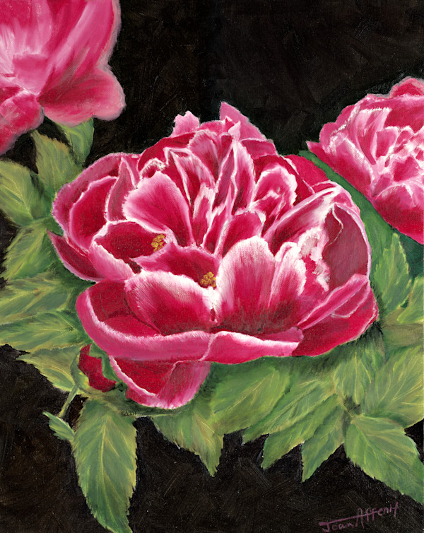 Peonies by Joan Affenit