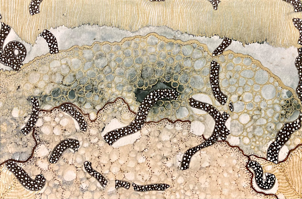 Celestial Worms by Jenny Mahan
