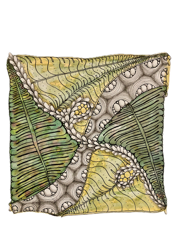 Fronds and Fissures by Jenny Mahan