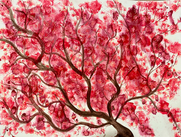 Maple Blossoms by Jenny Mahan