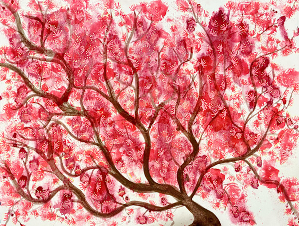 Maple Blossoms by Jenny Mahan, Image 2.