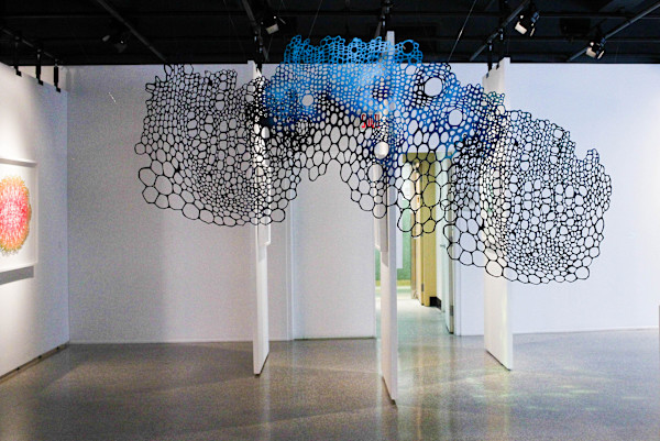 Studies in Interlacement, Xylem & Phloem by Lizz Aston