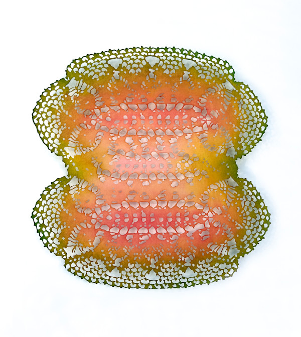 Double Melon by Lizz Aston