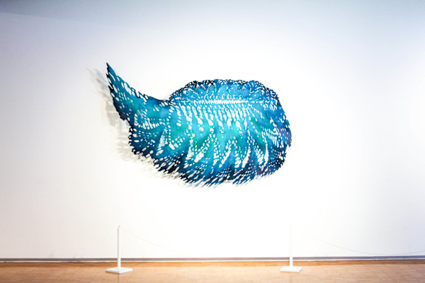 Swoop by Lizz Aston