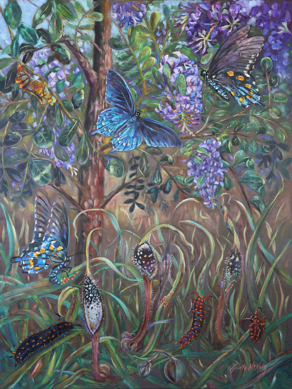 Pipevine Swallowtail Jig by Kristy McNelly, Image 1.