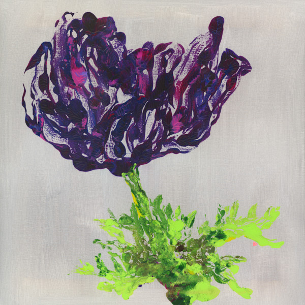 The Delicate Among Us by Phylinda Moore