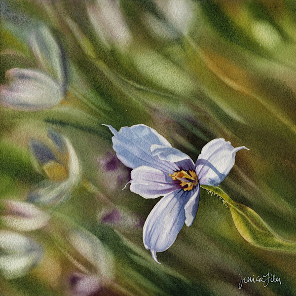 Blue Eyes Blowing in the Wind by Jessica Lily