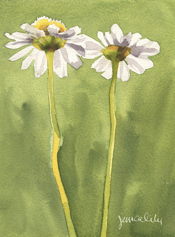Chamomile Study by Jessica Lily, Image 1.