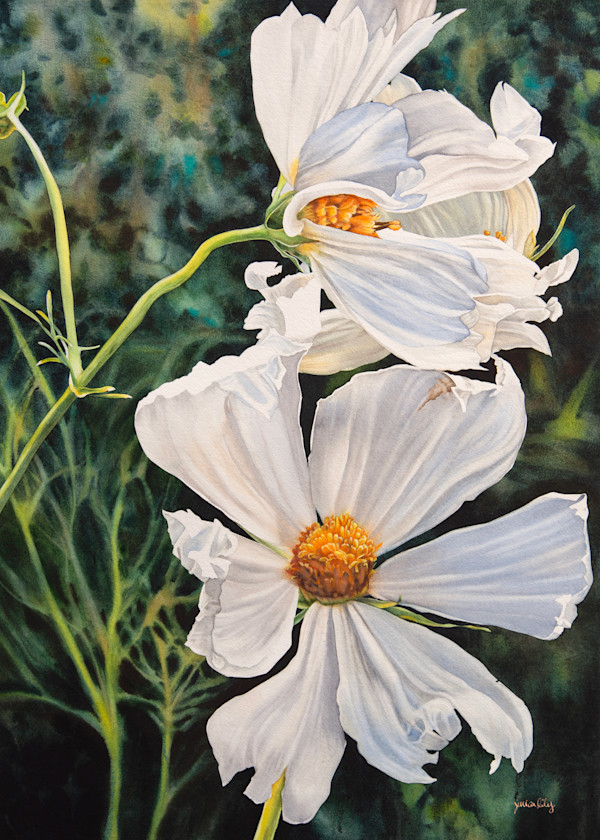 Shelter, in the Cosmos by Jessica Lily