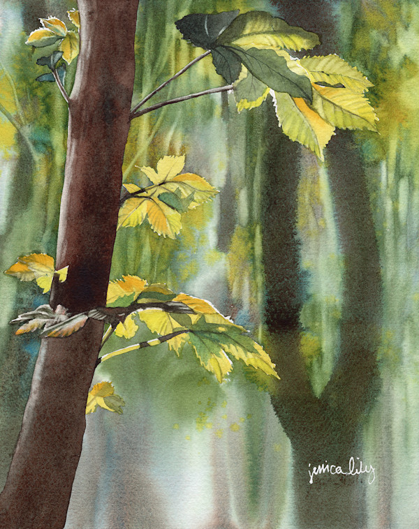 Forest Study by Jessica Lily, Image 1.
