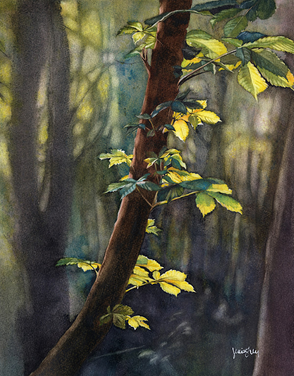 Into the Valley by Jessica Lily