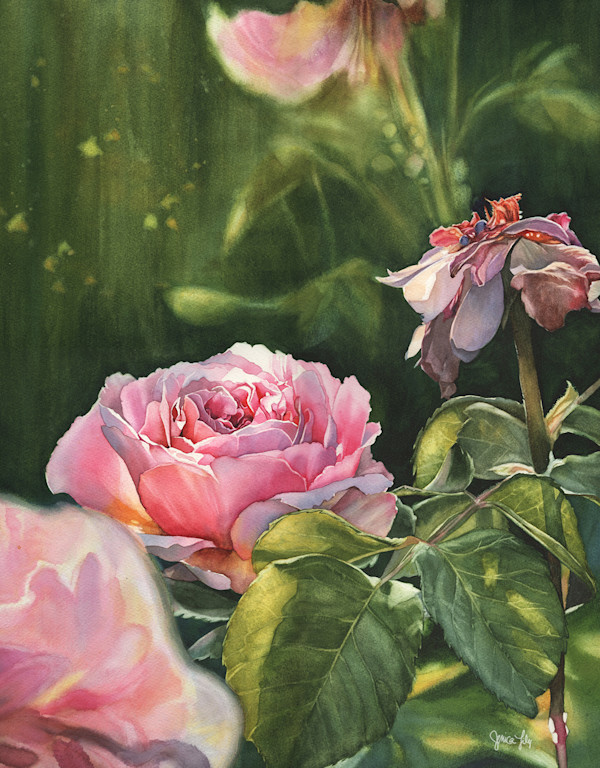 Sage Wisdom (A Rose for Myself, and My Older Self) by Jessica Lily