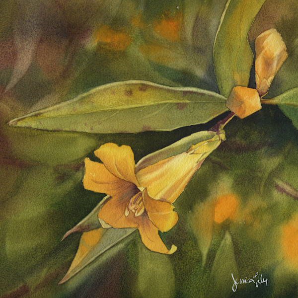 Carolina Jessamine by Jessica Lily