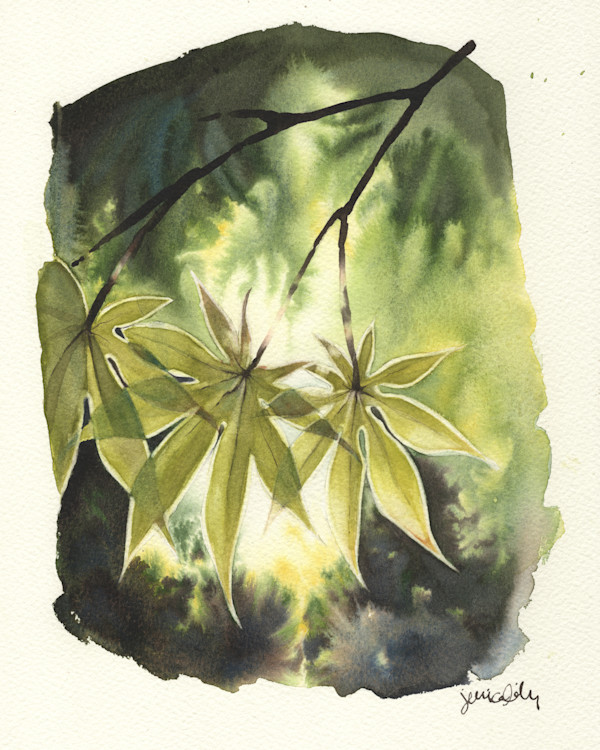 Maple Leaf Study by Jessica Lily