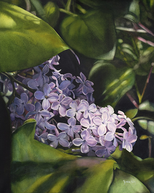 Under the Lilac Tree by Jessica Lily