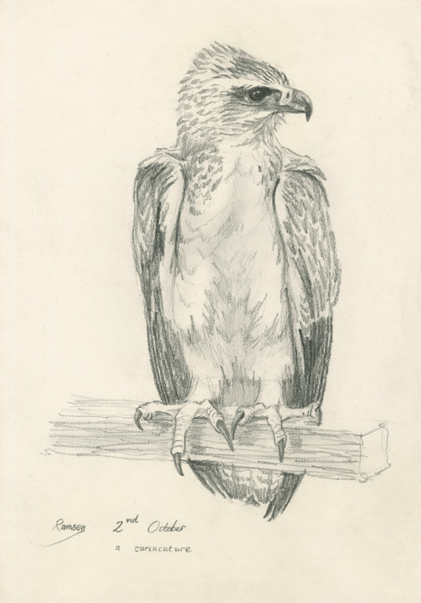 Ramsey cariacature by RAG Davies