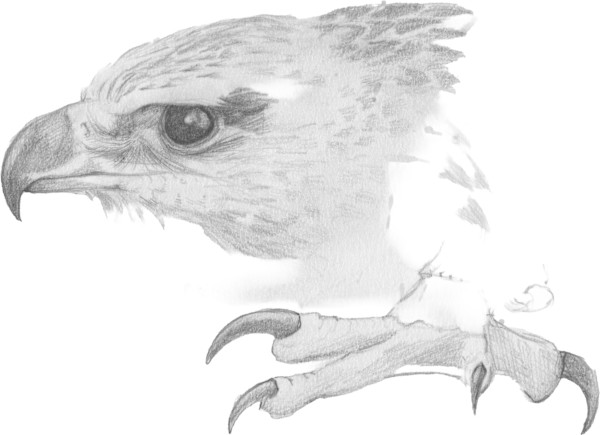 Ramsey head and foot detail by RAG Davies