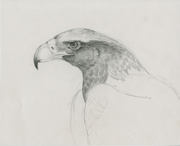 sam head detail by RAG Davies, Image 2.
