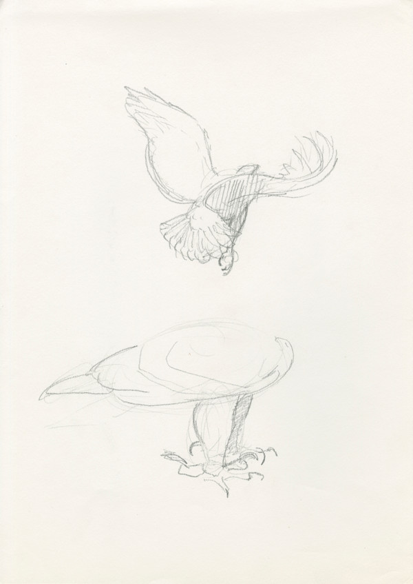 Samburu Wings - take-off by RAG Davies, Image 2.