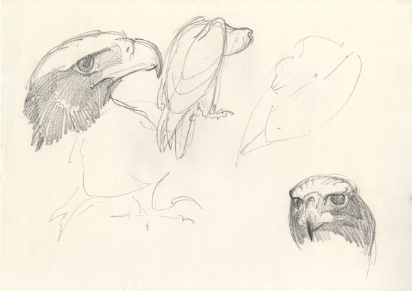 Sam various sketches by RAG Davies, Image 2.