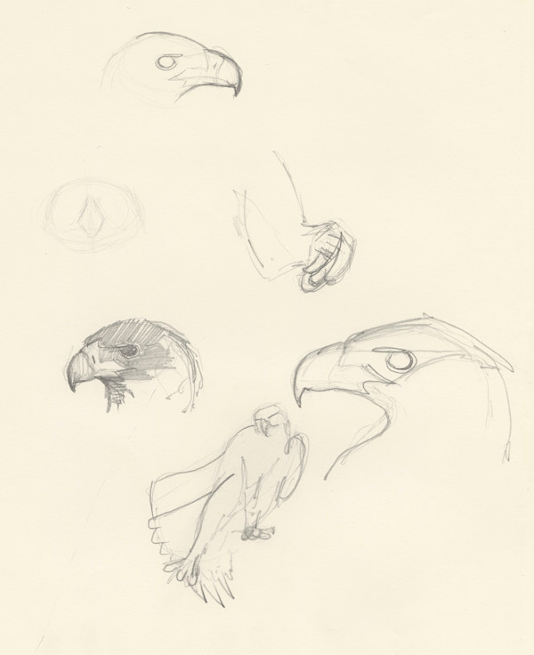 Sam's foot exercises by RAG Davies, Image 1.