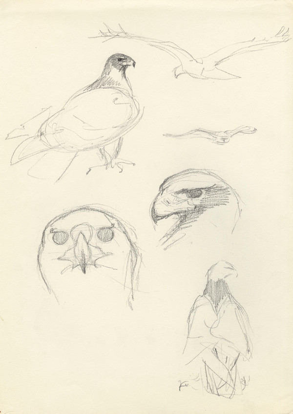 Sam- head and movement by RAG Davies, Image 1.