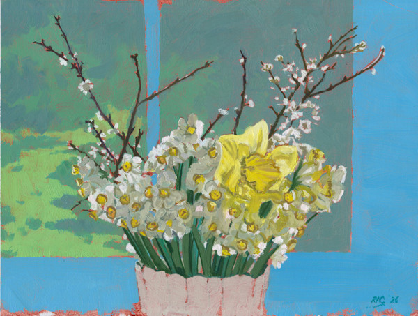 Pale Daffs by RAG Davies, Image 1.