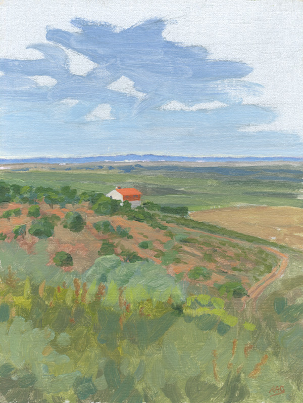From Sierra de San Pedro, near Aliseda by RAG Davies