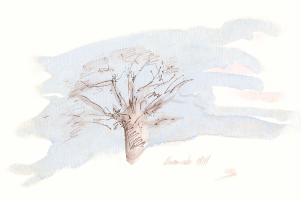 Baobab Hill Print by RAG Davies