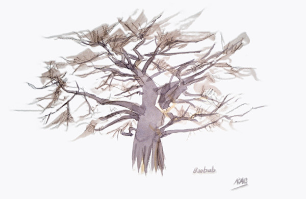 Baobab by RAG Davies