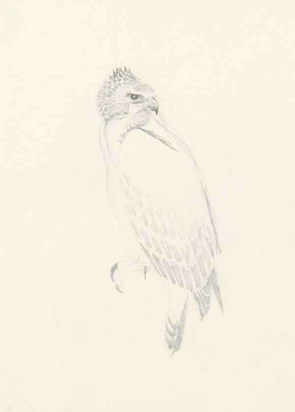 Ramsey looking back by RAG Davies