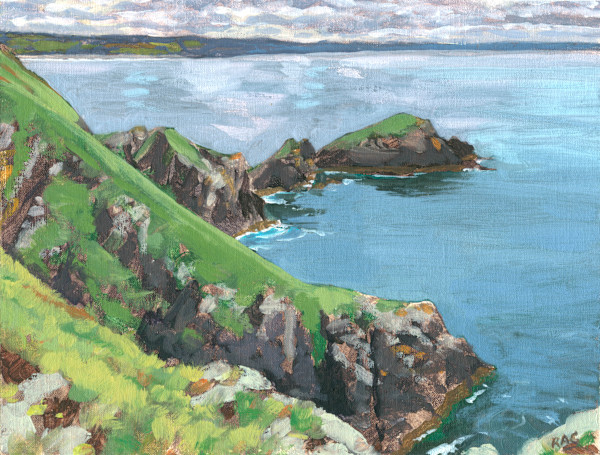 Dinas Fach, St Bride's Bay by RAG Davies