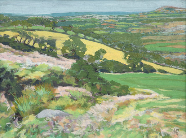 View over Brynberian Valley from Waun Mawn Standing Stones by RAG Davies