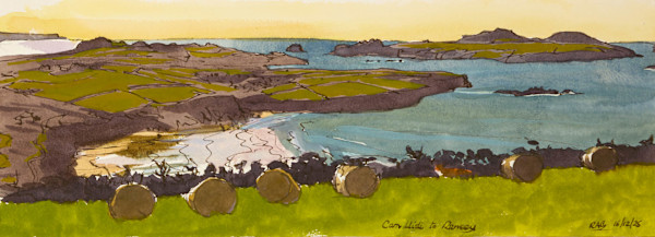 Whitesands with Fox by RAG Davies, Image 1.